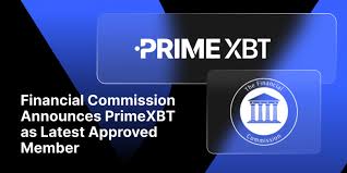 Exploring PrimeXBT Account Types A Comprehensive Guide