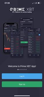 Exploring PrimeXBT Account Types A Comprehensive Guide