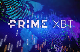Exploring PrimeXBT Account Types A Comprehensive Guide